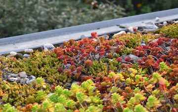 the cost of Ninfield green roof installation