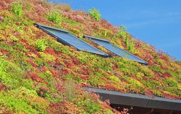 Ninfield living roof systems