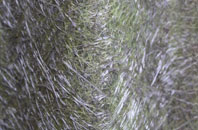 Ninfield fibreglass roof work