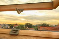 rated Ninfield roof window companies